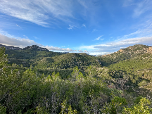 Masía catalana con terreno de 28 ha en Tarragona, Cataluña