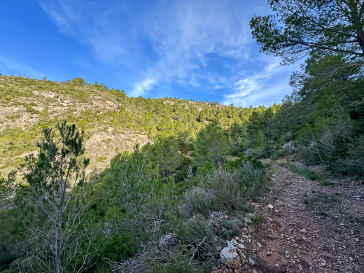 Masía catalana con terreno de 28 ha en Tarragona, Cataluña
