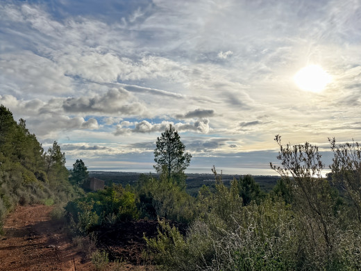 Masía catalana con terreno de 28 ha en Tarragona, Cataluña