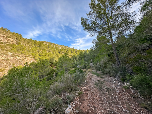 Masía catalana con terreno de 28 ha en Tarragona, Cataluña