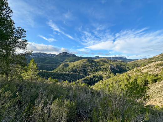 Masía catalana con terreno de 28 ha en Tarragona, Cataluña