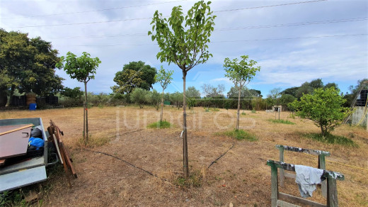 Terrain de 1100m2 avec petite maison rustique