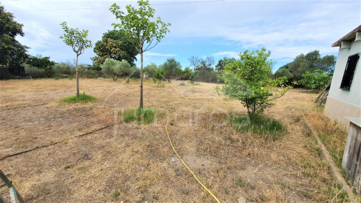 Terrain de 1100m2 avec petite maison rustique