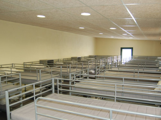 havitacioE_gran_de_18_lliteres_36_llits_-_copia_2-min_1694247114.jpg
